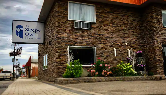 The Sleepy Owl Hotel